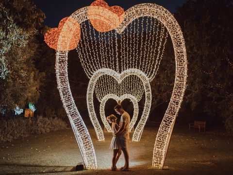 Christmas Lights Spectacular New Year's Eve At Hunter Valley Gardens - Restaurants Sydney 1