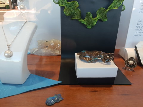 Cuttlefish Art Trail - Cuttlefest 2020 - Restaurants Sydney 1