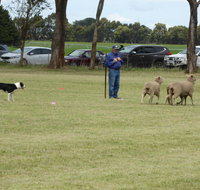 Dean Sheepdog Trials - Old Sniff Classic - Restaurants Sydney