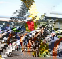 De Bortoli Wines Golden Rose Day - Restaurants Sydney