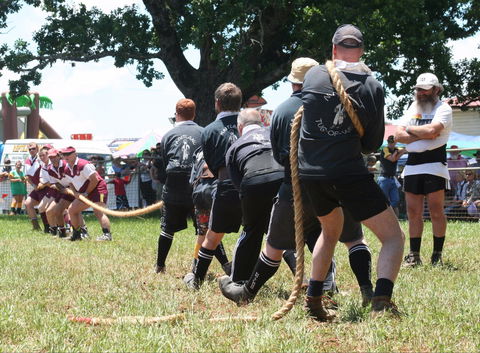 Dorrigo Agricultural Show - Restaurants Sydney 1