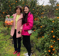 Fruit Taste Adventure Tours - Restaurants Sydney