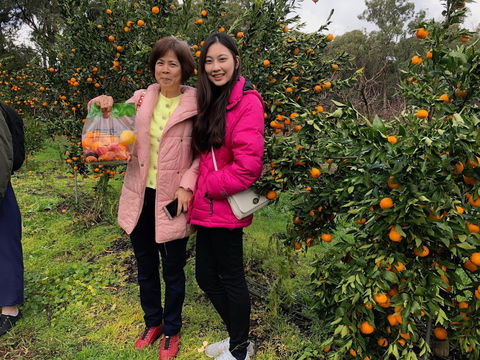 Fruit Taste Adventure Tours - Restaurants Sydney 0