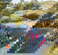 Goulburn Parkrun - Restaurants Sydney