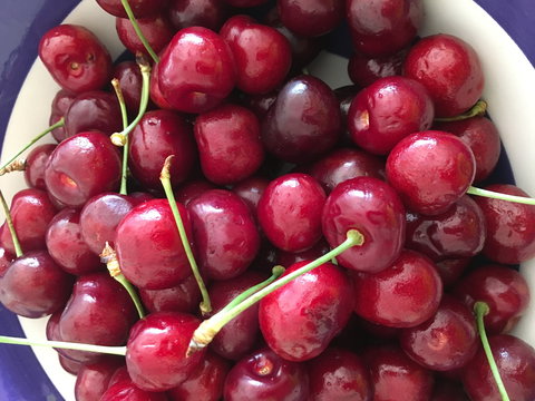 Griffith Rotary Market - Restaurants Sydney 0