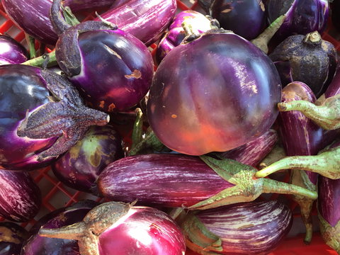 Griffith Rotary Market - Restaurants Sydney 1