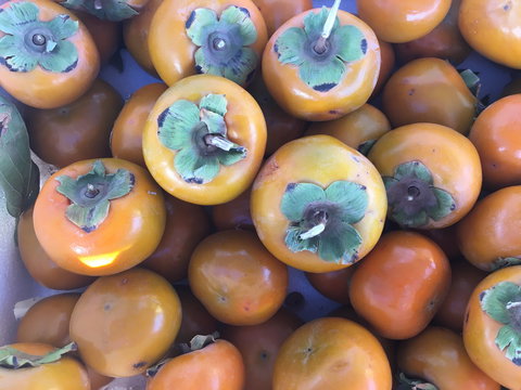 Griffith Rotary Market - Restaurants Sydney 2