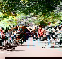 Hahndorf Christkindlmarkt - Restaurants Sydney