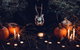 Hallows' Eve - thumb 5