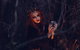 Hallows' Eve - thumb 6
