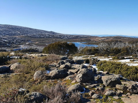 Hedonistic Hiking's Razorback To Harrietville - Restaurants Sydney 1