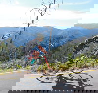 High Country Women's Cycling Festival - Restaurants Sydney