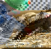 Horsham Agricultural Show - Restaurants Sydney