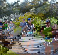 Husky Half Running Festival - Restaurants Sydney