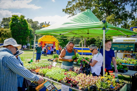 Huskisson Market - Restaurants Sydney 0