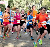 MAAS Group Dubbo Stampede Running Festival - Restaurants Sydney
