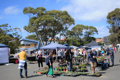 Marine Rescue Ulladulla Wharf Markets - Restaurants Sydney 1