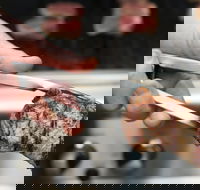 Meat BBQ Cooking Class - Restaurants Sydney