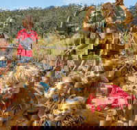 Mini Muddies Obstacle Challenge at Bunnamagoo Estate - Restaurants Sydney