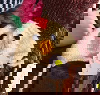 Murrindindi Beanie  Fibre Festival Online - Restaurants Sydney