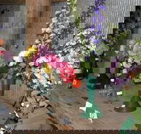 Neville Show - Restaurants Sydney