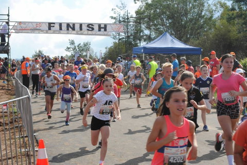 Orange Running Festival - Restaurants Sydney 2