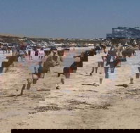 Perlubie Beach Sports Day - Restaurants Sydney