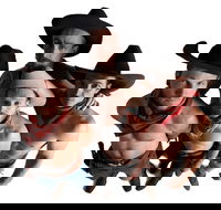 RAILED by Head First Acrobats - Restaurants Sydney