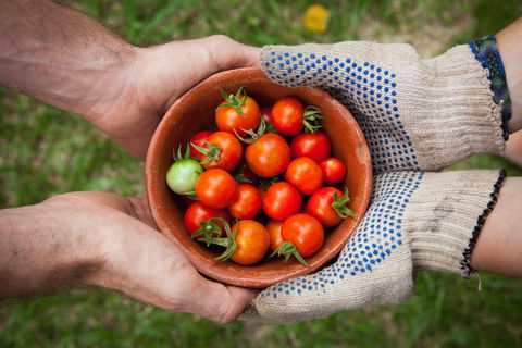 Riverina Producers Market - Restaurants Sydney 0