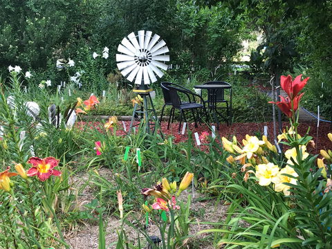 Riverina Iris Farm Open Garden And Iris Display - Restaurants Sydney 2