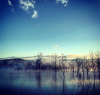 Scenic Rim Ultra - Restaurants Sydney