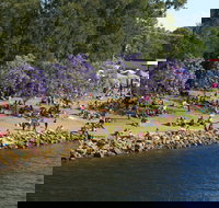 Shoalhaven River Festival - Restaurants Sydney