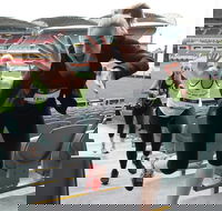 Stadium Stomp Adelaide Oval - Postponed - Restaurants Sydney