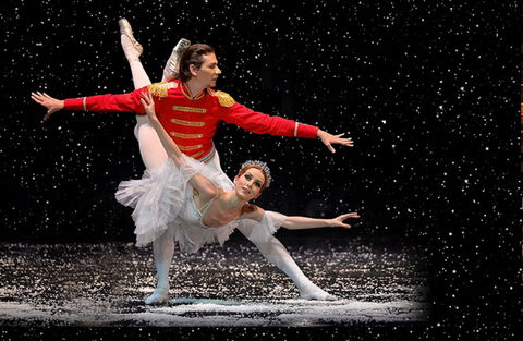 The Nutcracker And Don Quixote - Restaurants Sydney 0