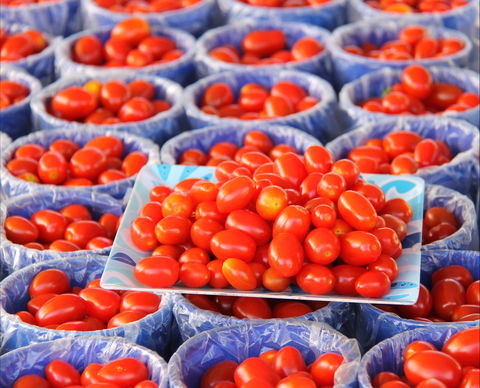 The Entrance Market - Restaurants Sydney 2