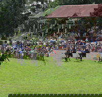 Tumut Boxing Day Races - Restaurants Sydney