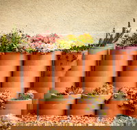 Tumbarumba Spring Flower Festival - Restaurants Sydney