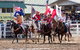 Warwick Rodeo National APRA National Finals And Warwick Gold Cup Campdraft - thumb 0