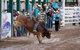 Warwick Rodeo National APRA National Finals And Warwick Gold Cup Campdraft - thumb 1