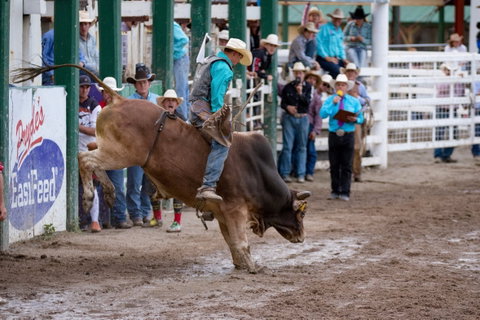 Warwick Rodeo National APRA National Finals And Warwick Gold Cup Campdraft - Restaurants Sydney 1