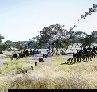 Weddin Mountain Muster - Restaurants Sydney