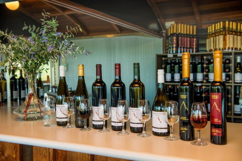 Wine And Cheese. Yes Please! - Restaurants Sydney 1