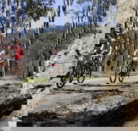 Wollombi Wild Ride Mountain Bike Ride - Restaurants Sydney