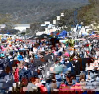 AgQuip - Restaurants Sydney