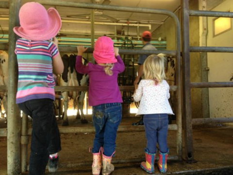 Bandon Grove Farm Tours - Restaurants Sydney 1