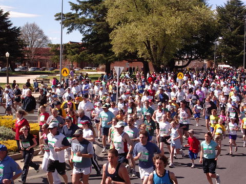 Bathurst Edgell Jog - Restaurants Sydney 0