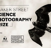 Beaker Street Science Photography Prize - Restaurants Sydney
