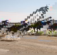 Bedourie Races and Rodeo - Restaurants Sydney