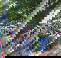 Bellingen Community Markets - Restaurants Sydney