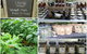 Berry Produce Market - thumb 1